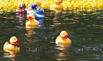 Swindon's Duck Race 2022 featured image
