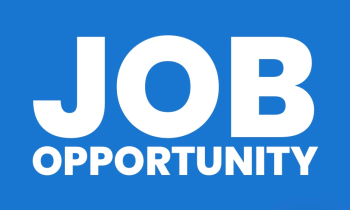 Wanted - Temporary Warehouse Assistant featured image